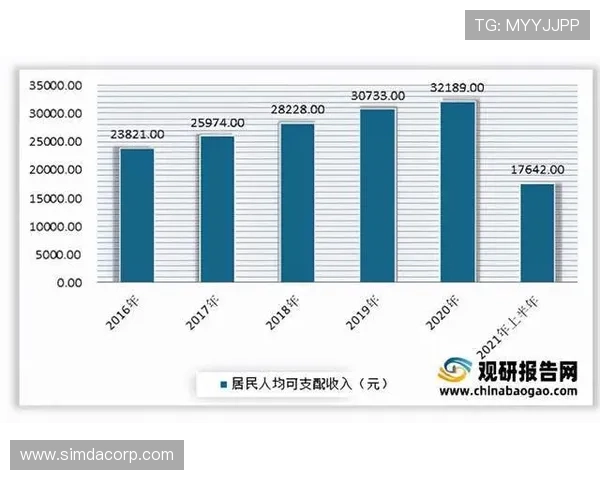 广州羽毛球队选拔赛表现分析与状态评估全景观察
